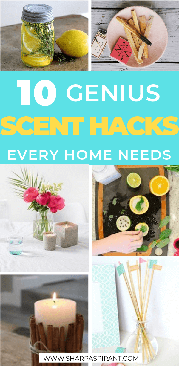 Use these awesome DIY hacks to make your house smell good instantly! via www.sharpaspirant.com #homehacks #hometips #homediy