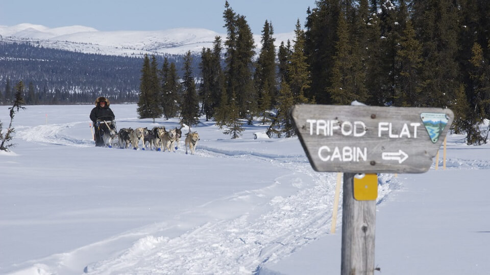Iditarod National Historic Trail - one of the best places in ALASKA you shouldn't miss! Add this to your bucket list now for an unforgettable experience!