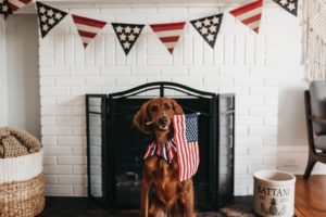 Show your patriotic pride with these easy, cool, and fun 4th of July decorations, DIY and crafts! Find some easy DIY 4th of July printables, wreaths, flags, and more to inspire you! These super simple and lovely decors are a perfect addition to your home, indoor or outdoor space, table, or front porch.