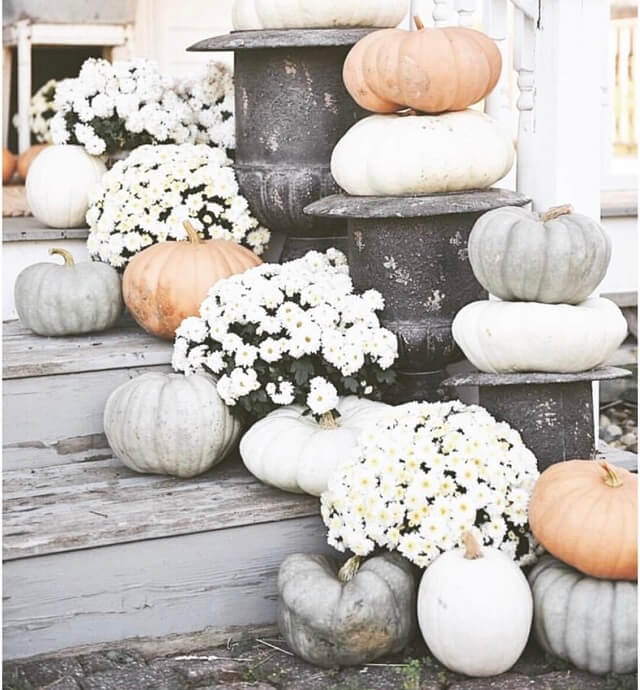 Adorable Fall Porch Ideas - easy and simple ways to make your front porch feel cozy and warm this autumn season!These fall porch ideas will show you how to easily create an autumn-ready porch using simple decors such as fall signs, wreaths, pumpkins, plants, and more! Image Via Lovesorlemons