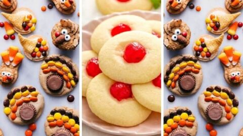 These Thanksgiving cookie recipes are quick, simple, and a perfect addition to any Thanksgiving feast! Here you'll find some traditional shortbread cookies, sugar cookies, and even quirky turkeys to cheer up the youngsters!