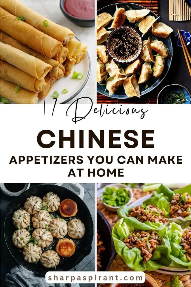 Chinese appetizers are always on my list when I'm craving some finger-licking food. There's just so much richness, crunchiness, and balance of flavor that I like about Chinese foods.
