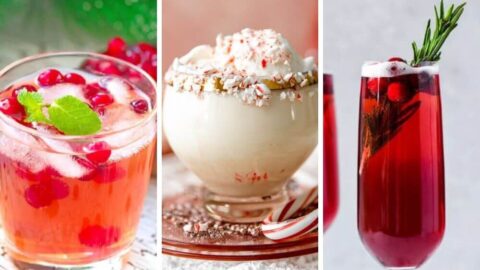Your holiday season will be cheered up by this list of 21+ Easy Christmas cocktails! From a warm glass of eggnog to cozy cocktails with seasonal accents, there's an impressive cocktail to get everyone in the Christmas spirit and amaze all of your holiday guests.
