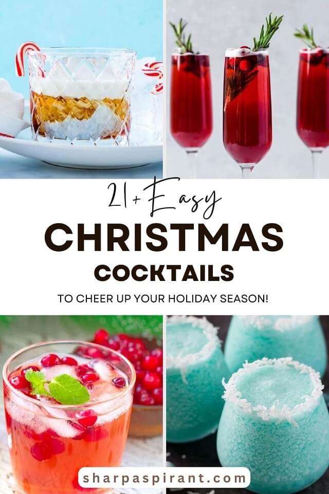 Your holiday season will be cheered up by this list of 21+ Easy Christmas cocktails! From a warm glass of eggnog to cozy cocktails with seasonal accents, there's an impressive cocktail to get everyone in the Christmas spirit and amaze all of your holiday guests.