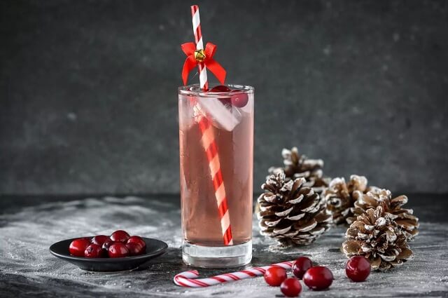 Your holiday season will be cheered up by this list of 12 Easy Christmas cocktails! From a warm glass of eggnog to cozy cocktails with seasonal accents, there's an impressive cocktail to get everyone in the Christmas spirit and amaze all of your holiday guests.