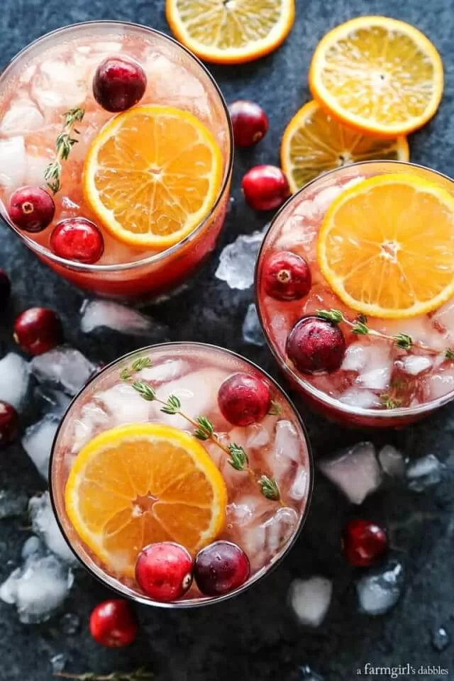 Cranberry Gin and Tonic