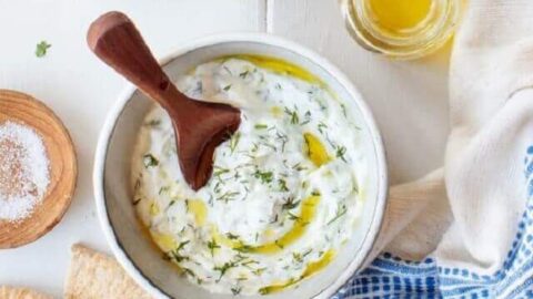 Get ready to take a culinary journey to the sunny and beautiful country of Greece with these traditional Greek appetizers! Try them out now!