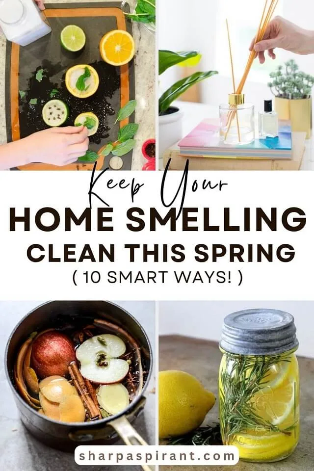 Use these awesome DIY hacks to make your house smell amazing instantly! via www.sharpaspirant.com #homehacks #hometips #homediy Use these awesome DIY hacks to make your house smell amazing instantly! via www.sharpaspirant.com #homehacks #hometips #homediy