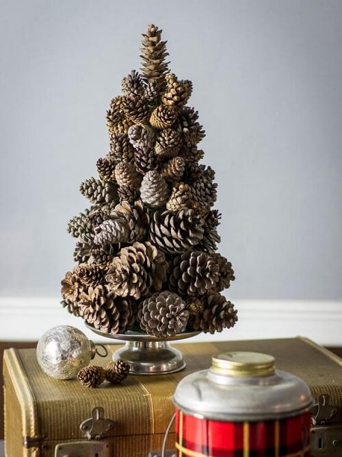 Turn Pine Cones Into a Tabletop