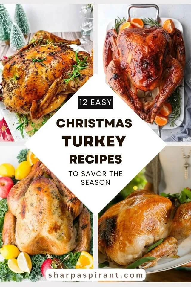 These tasty and easy Christmas turkey recipes will definitely make your holiday dinner unforgettable! Whether you're new to cooking turkey or a seasoned pro, we’ve got simple recipes that will have your guests coming back for more.