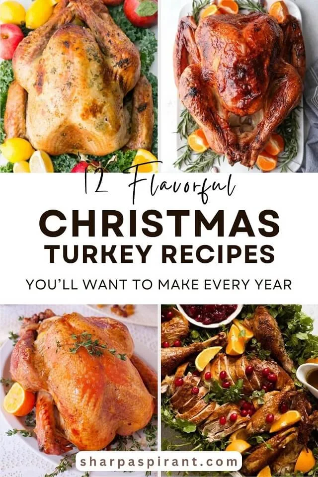 These tasty and easy Christmas turkey recipes will definitely make your holiday dinner unforgettable! Whether you're new to cooking turkey or a seasoned pro, we’ve got simple recipes that will have your guests coming back for more.