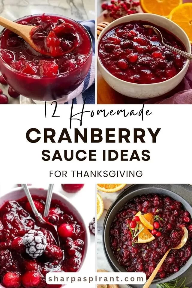 Sweet, tangy, and festive, these 12 cranberry sauce recipes bring bold flavor and easy elegance to your Thanksgiving table.