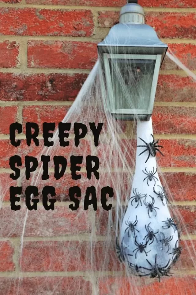 Spider Egg Sacs