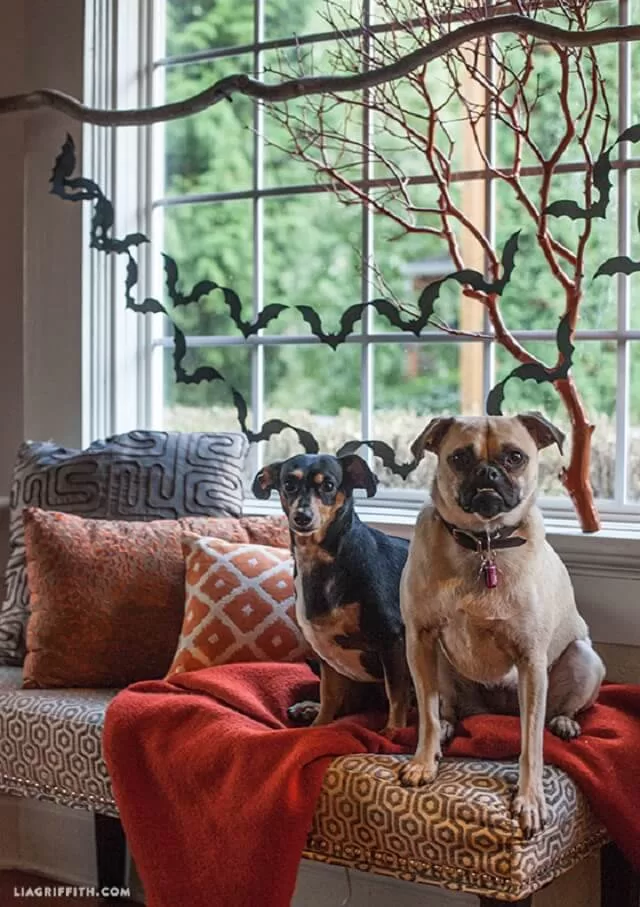 Get your home Halloween-ready with these 15 easy DIY garland ideas. From paper bats to pumpkin cutouts, these quick crafts add instant spooky charm. Perfect for kids, parties, or simple decorating—these garlands are fun, budget-friendly, and photo-worthy!