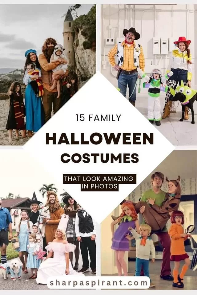 Get inspired with 15 family Halloween costumes that look amazing in photos, from classic themes to fun, creative group outfits.