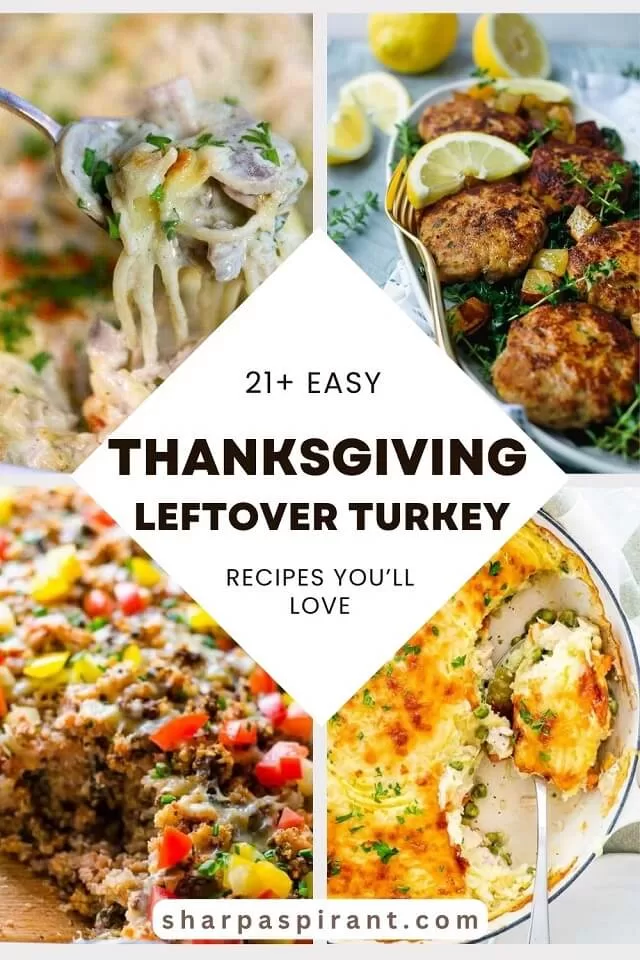 Wondering what to do with leftover turkey? Our top 21+ Easy Leftover Turkey Recipes will help you with that! Find leftover turkey casserole, pasta, soups, turkey pot pie, and more here!