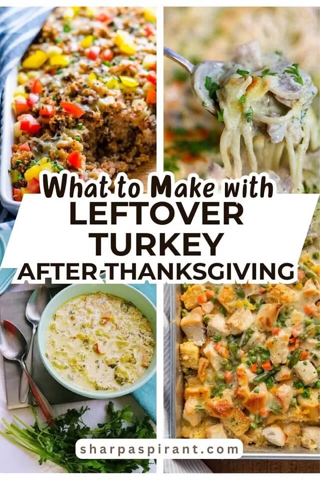 Wondering what to do with leftover turkey? Our top 21+ Easy Leftover Turkey Recipes will help you with that! Find leftover turkey casserole, pasta, soups, turkey pot pie, and more here!