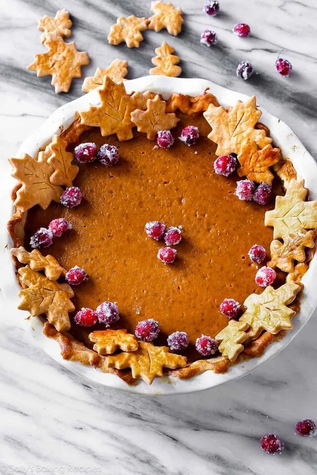 Celebrate the season with delicious Thanksgiving pie recipes, featuring pumpkin, pecan, and apple favorites your family will crave all holiday long.