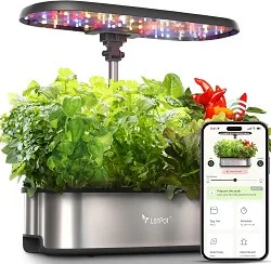 Herb-Growing Kit